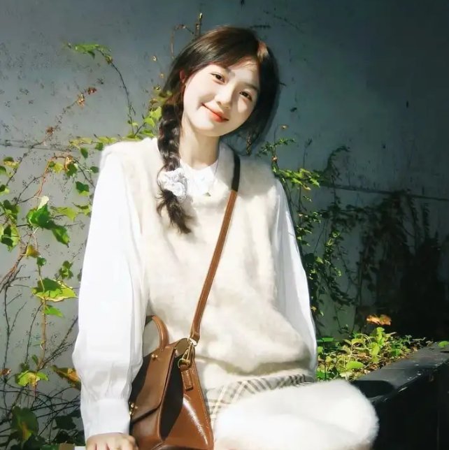 高卢勇士斗凯撒